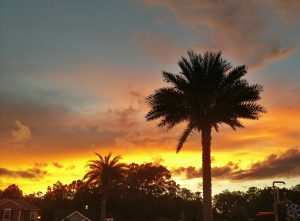 Sunset in Jacksonville 